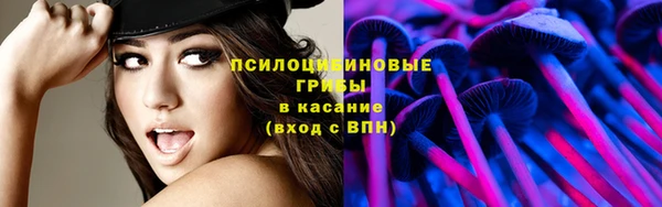ГАЛЛЮЦИНОГЕННЫЕ ГРИБЫ Володарск