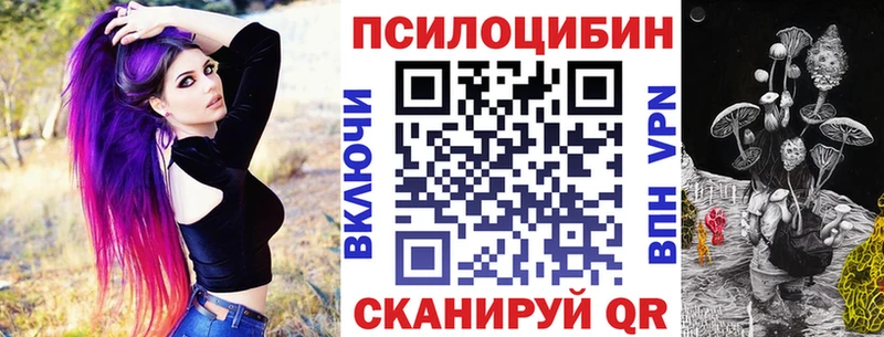 Псилоцибиновые грибы Psilocybe  закладка  Тамбов 