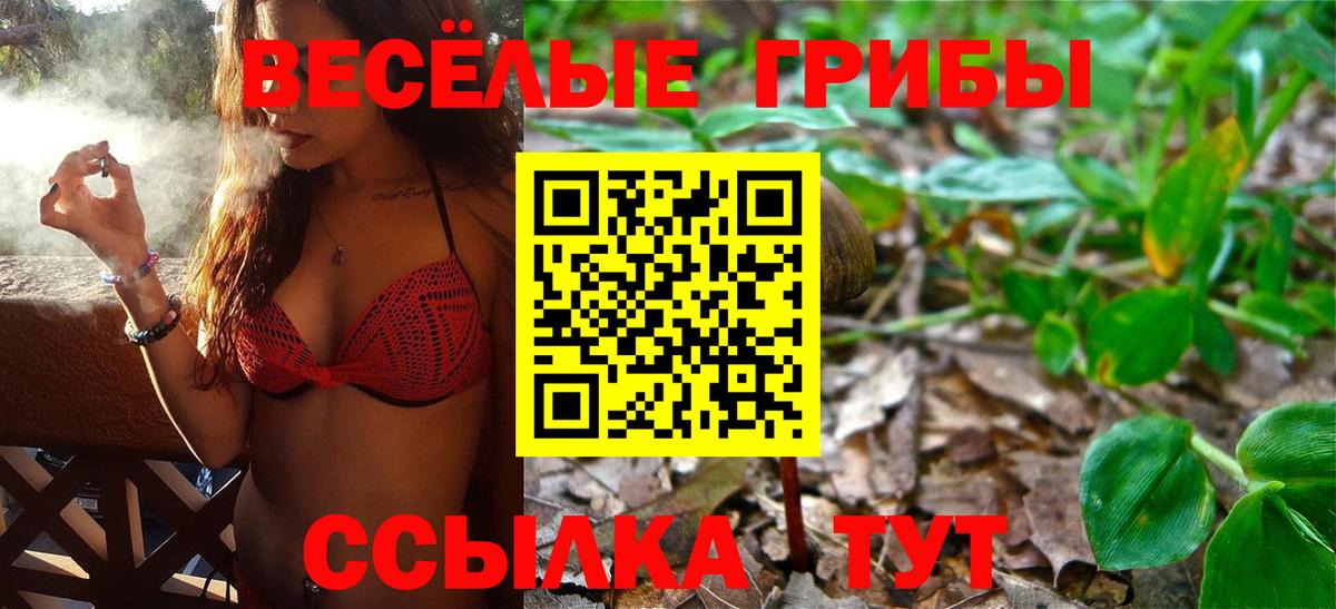 Галлюциногенные грибы MAGIC MUSHROOMS Тамбов