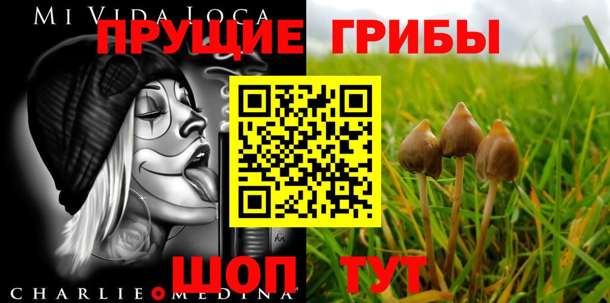 Тамбов  Галлюциногенные грибы Psilocybine cubensis  Вход с VPN 